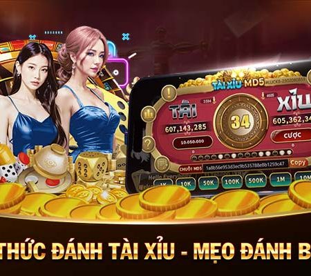 sodo casino coi đá gà trực tiếp casino 🎰